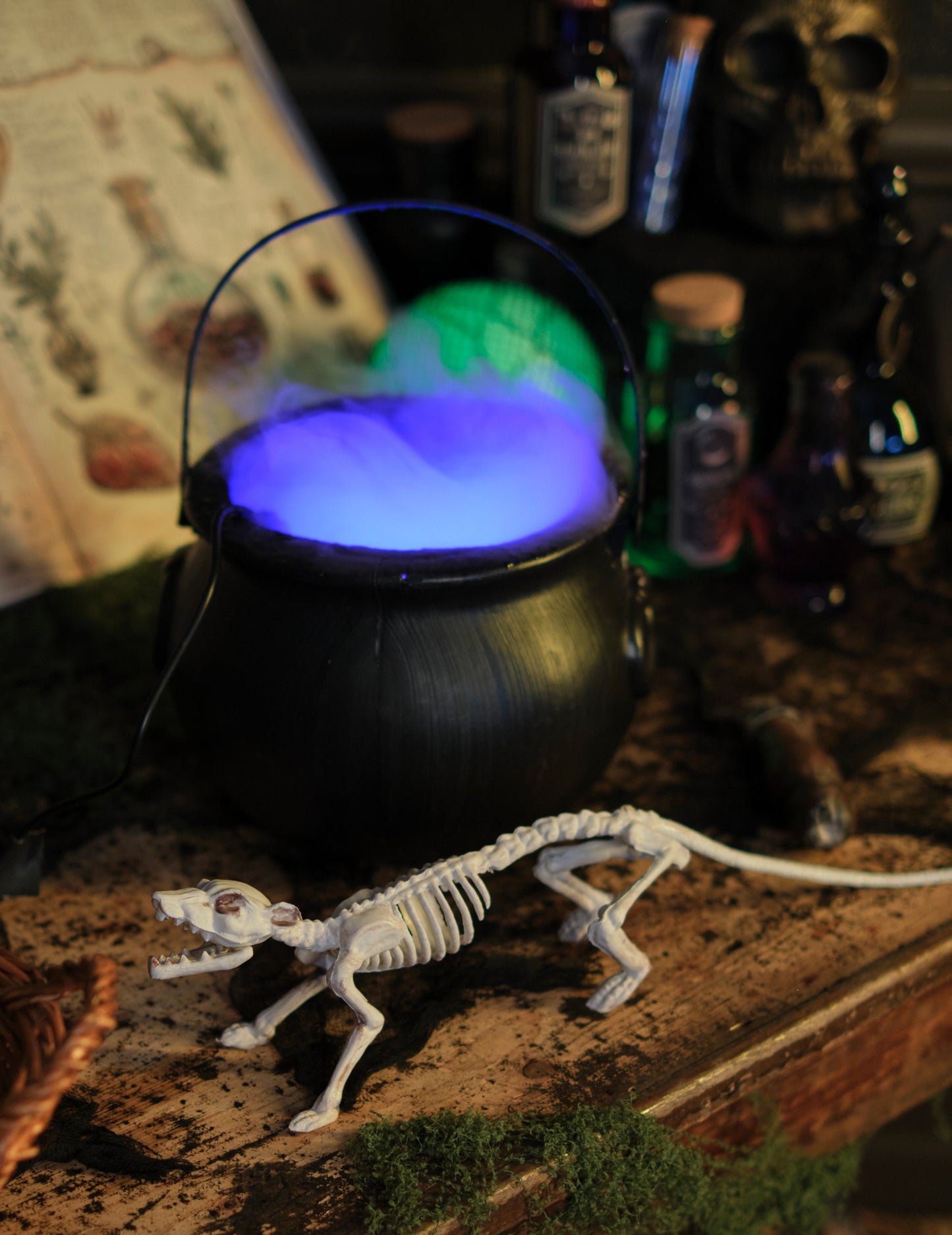 Dekorácia kostry potkanov 16 x 23 cm Halloween