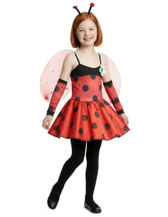 Coccinelle