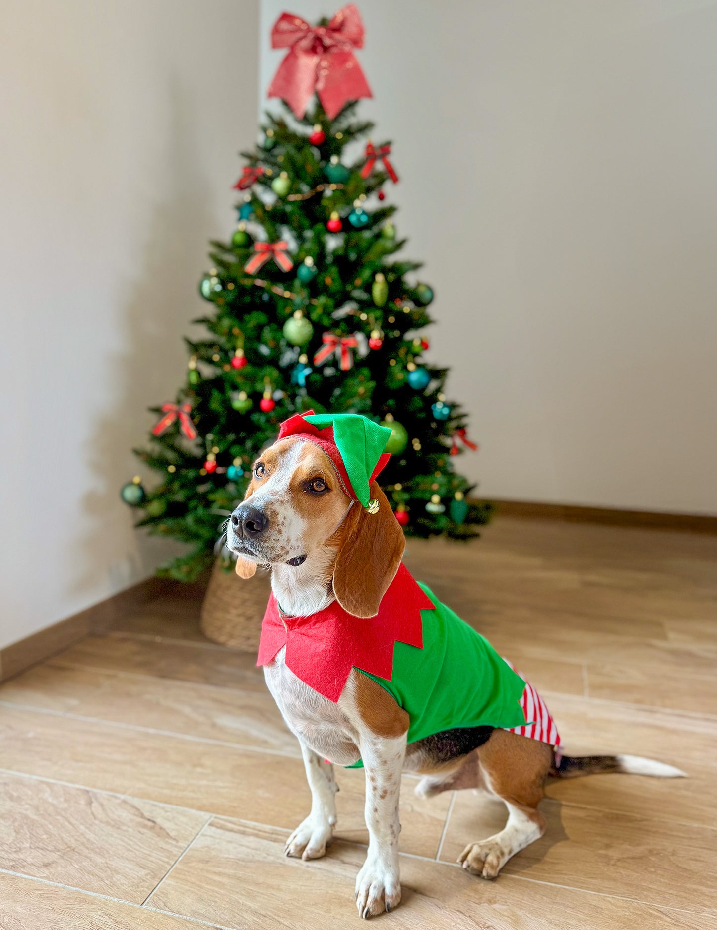 Vianočný kostým škriatka pre psov