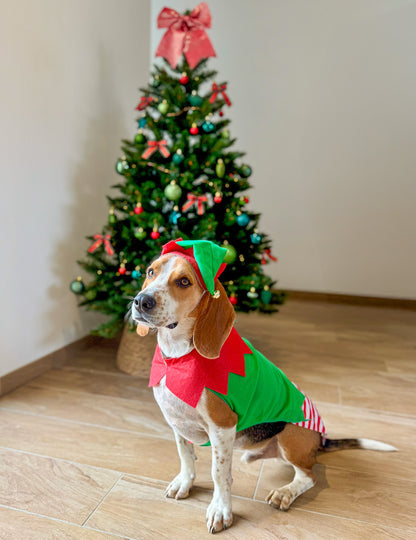 Vianočný kostým škriatka pre psov