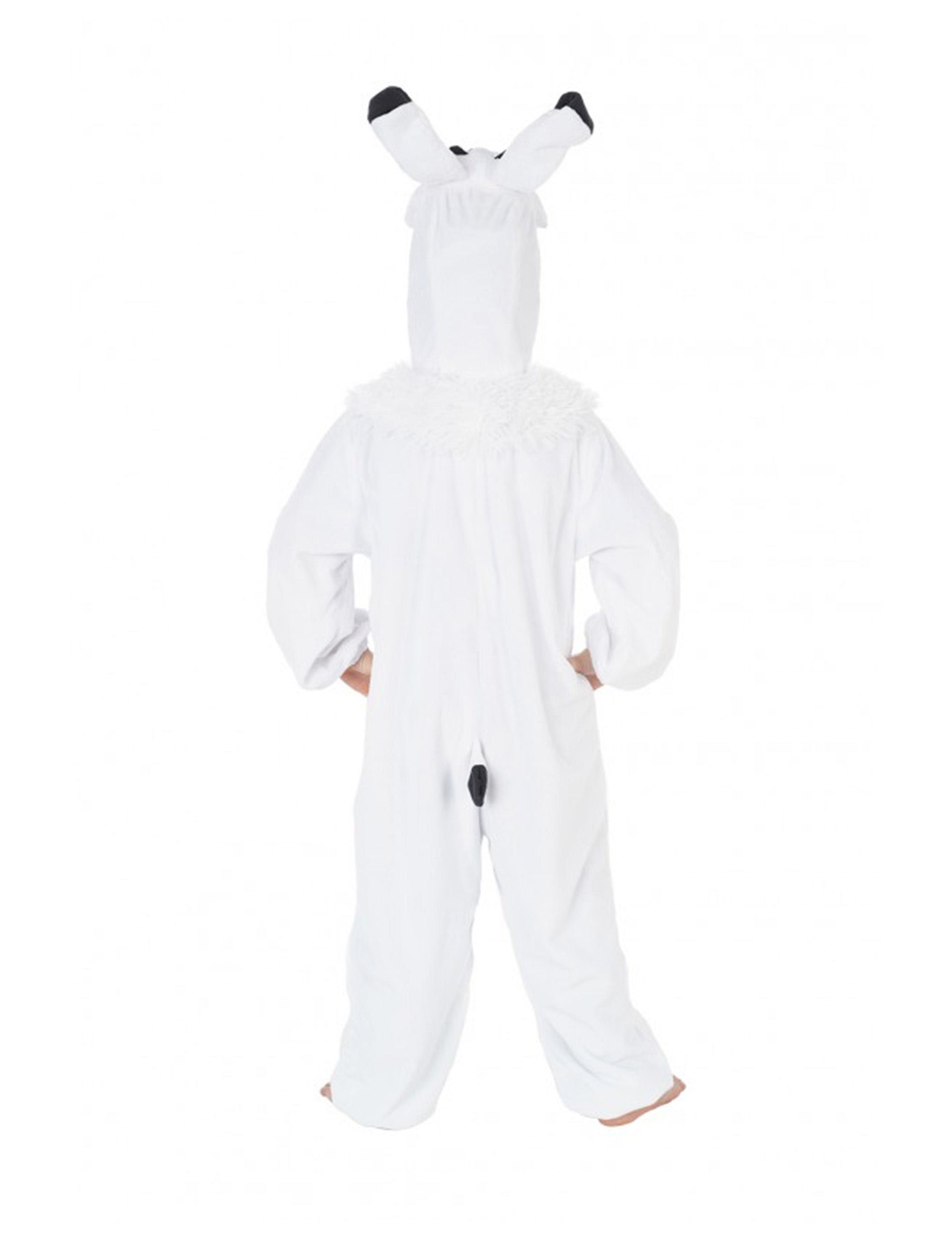 Vue de dos du déguisement Idefix Astérix et Obélix™