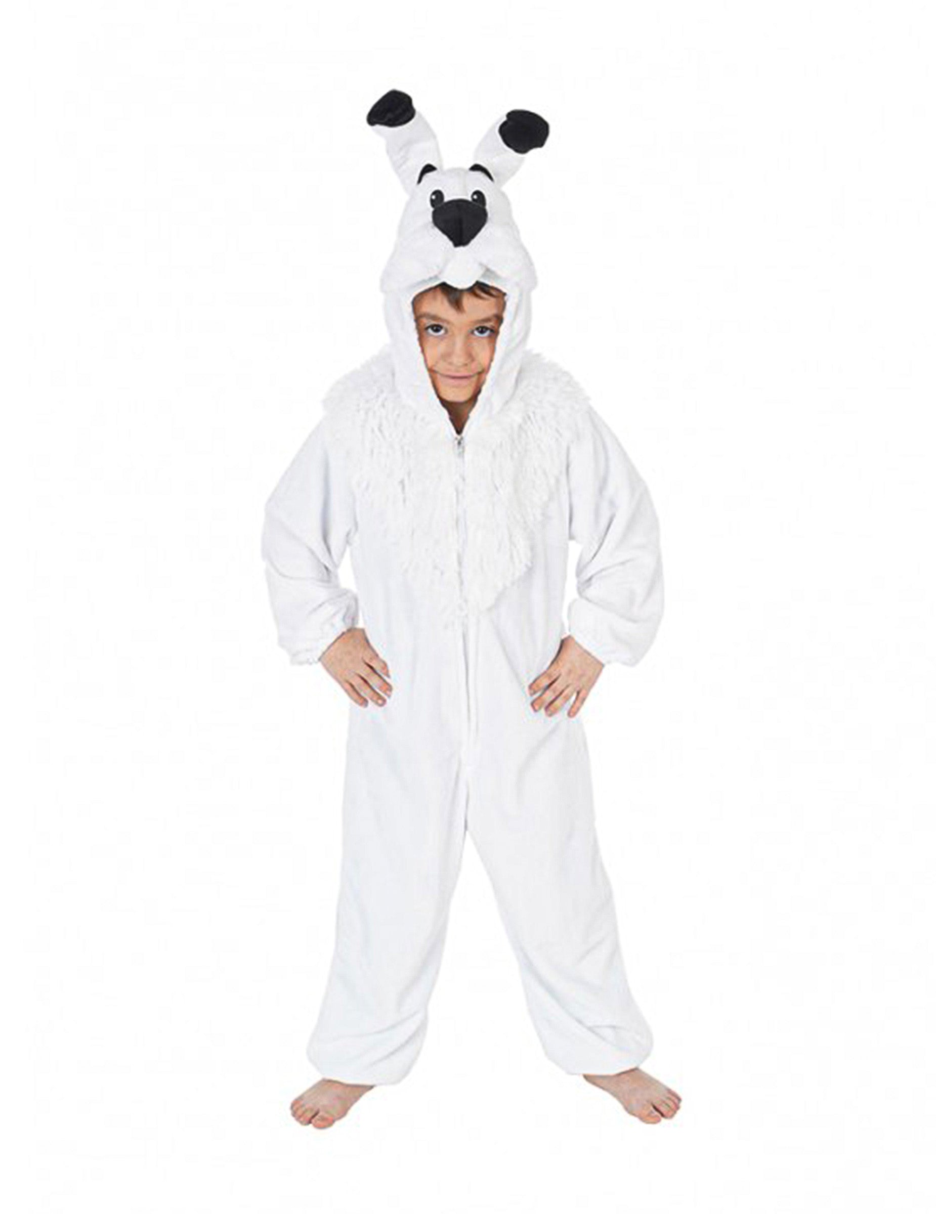 Vue de face du déguisement Idefix Astérix et Obélix™