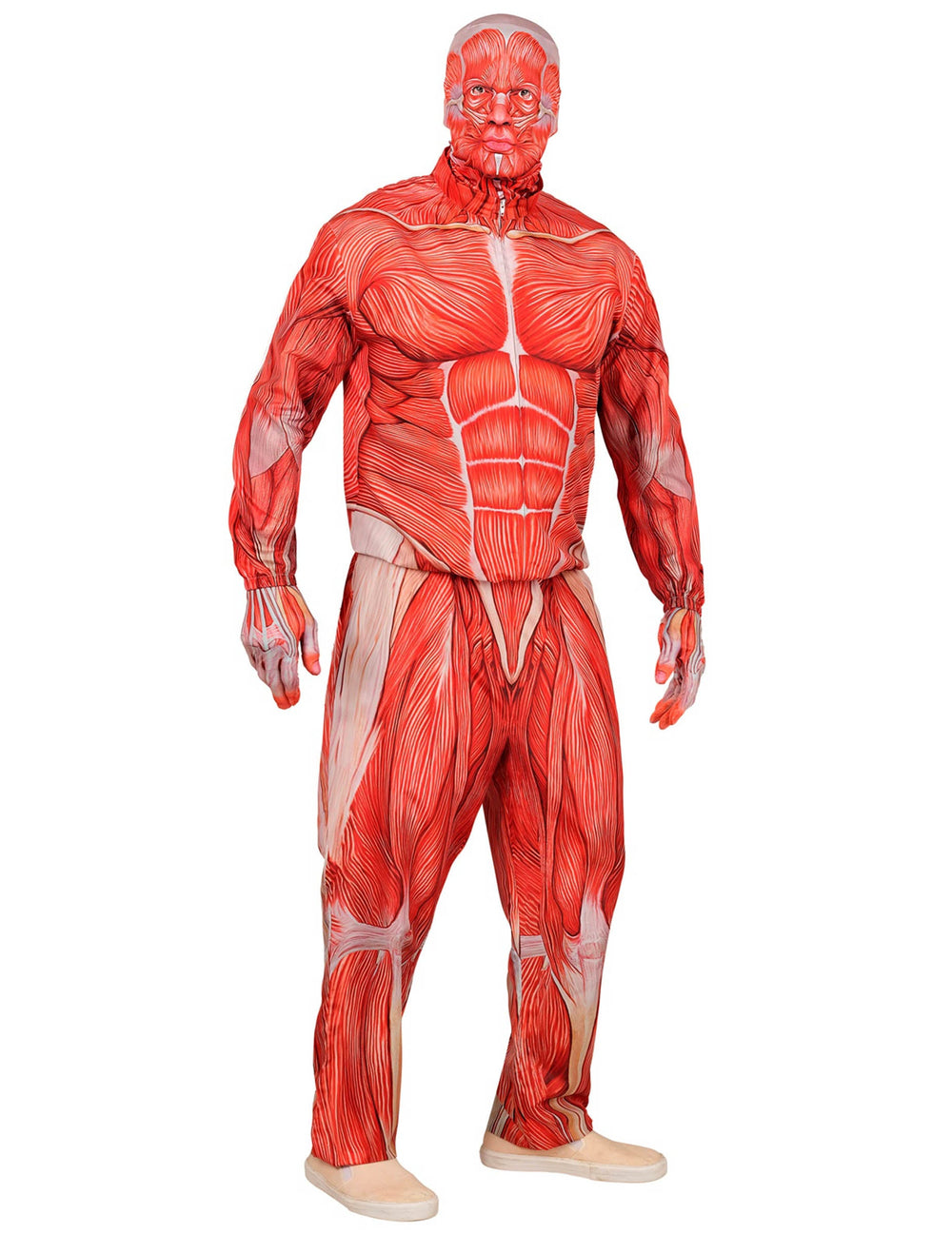 Déguisement intégral corps humain anatomique pour adulte rouge et blanc motif muscles