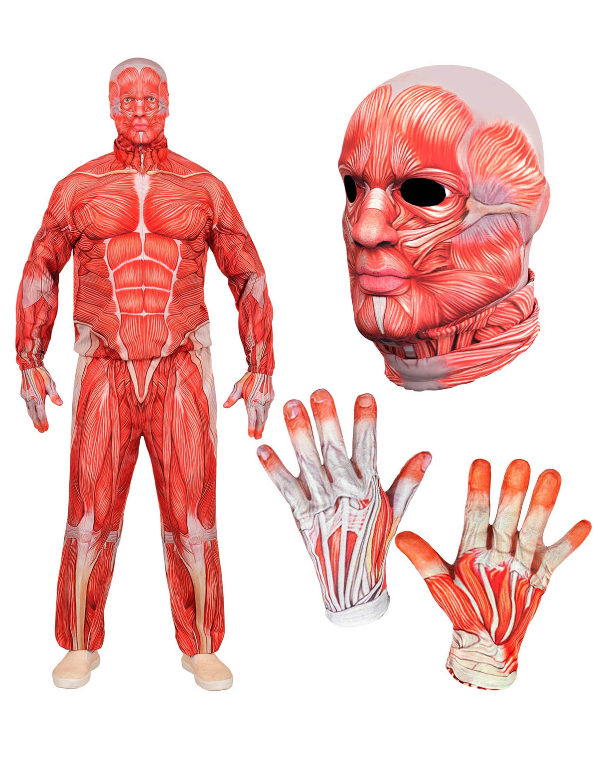 Détails du masque et des gants du déguisement intégral corps humain anatomique