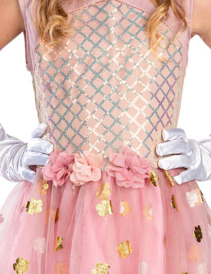 Rose Gold Girl Princess Costume