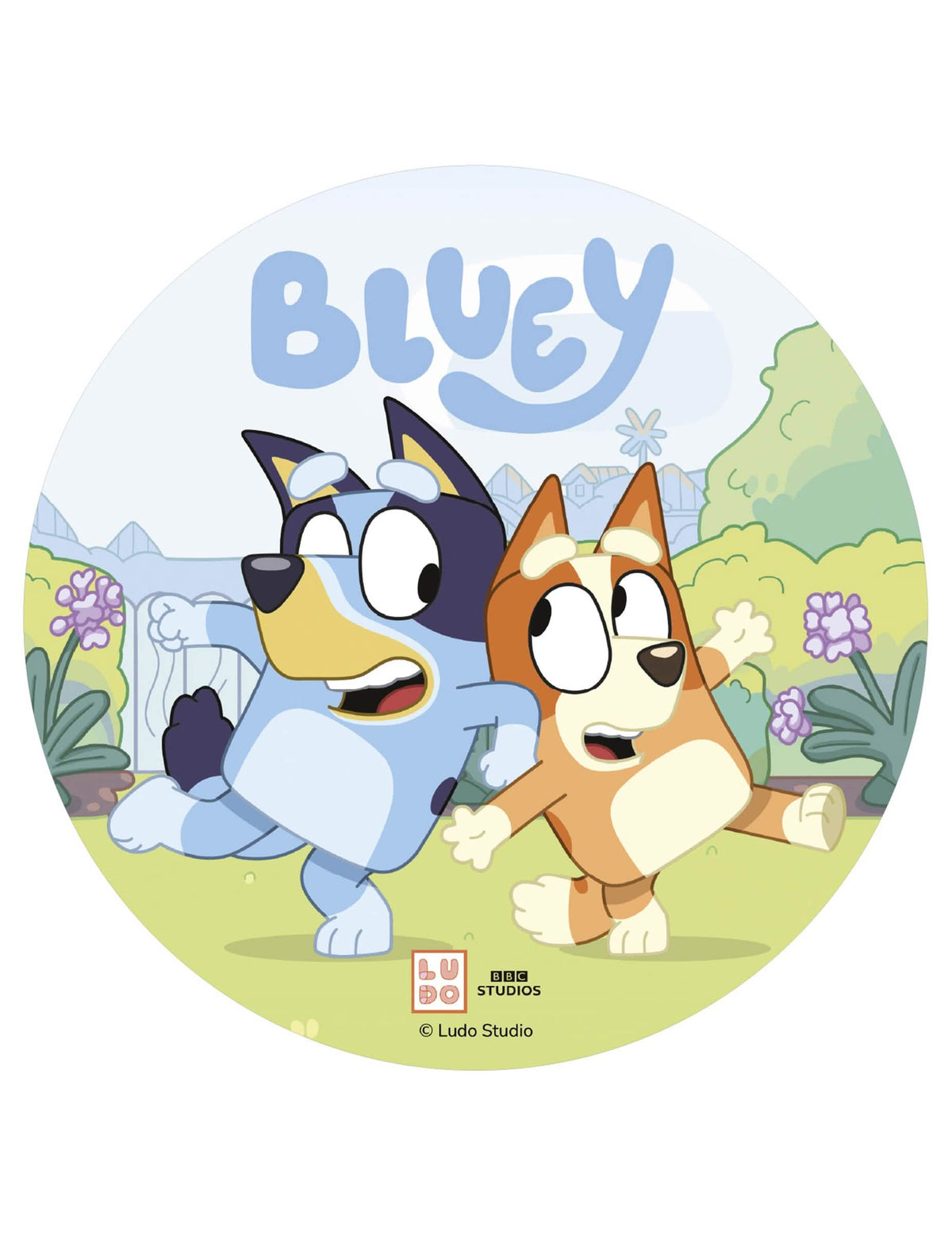 Jedlý oblátkový disk na tortu Bluey™ 20 cm