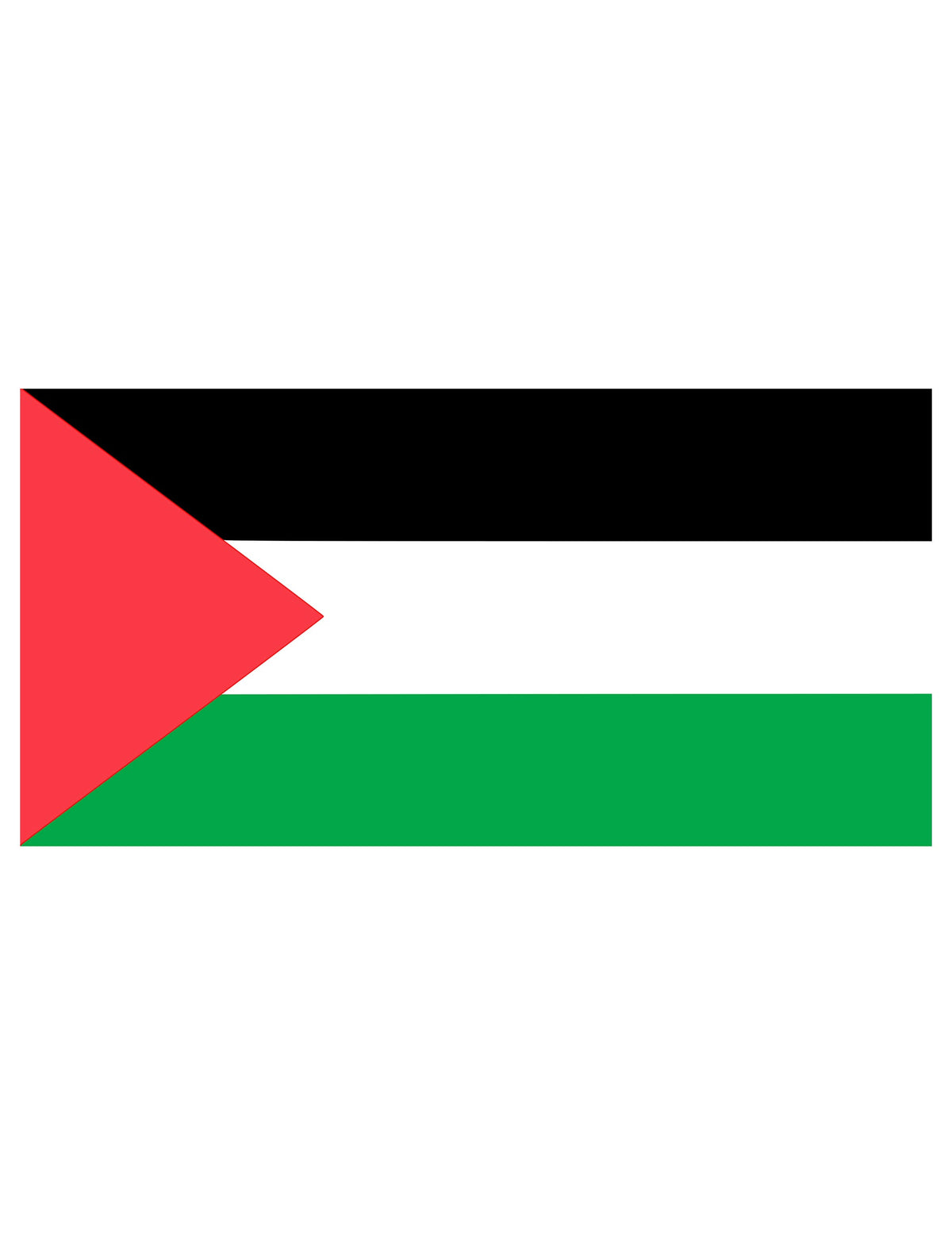 Vue à plat du drapeau Palestine pour supporter