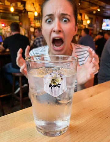 Falošná kocka ľadu s muchou - žartovné predmety 