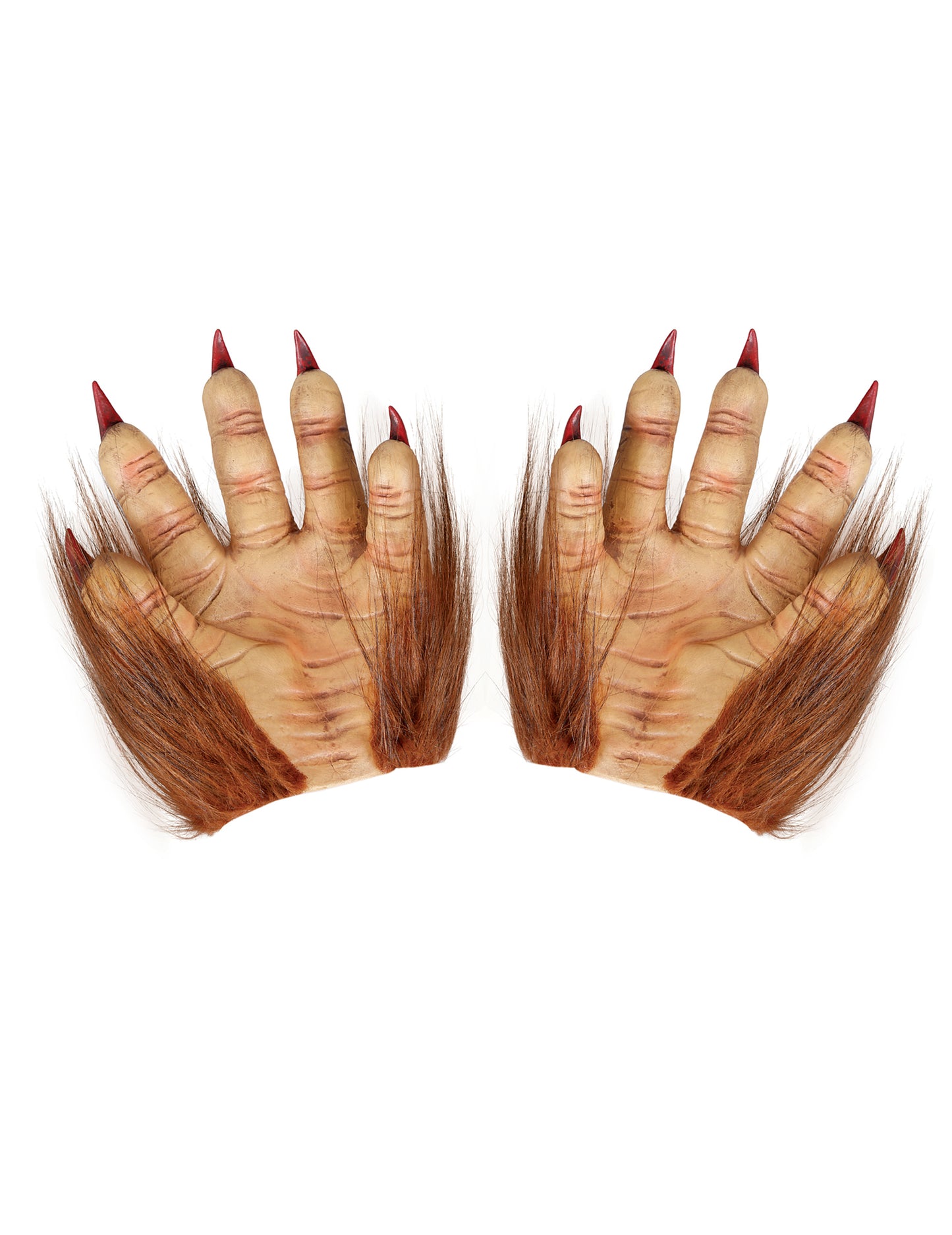 Vue des paumes des gants de loup-garou pour adulte