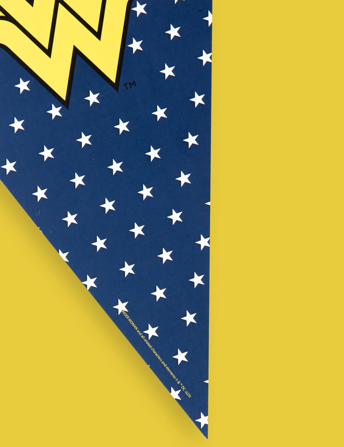 Wonder Woman 2m Pennant Girland
