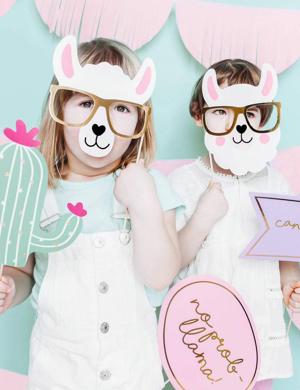 Scéna deťmi z pastelovej sady photobooth lama 5 dielov na narodeniny