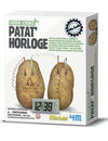 Kit scientifique patat'horloge pour enfant énergie pomme de terre