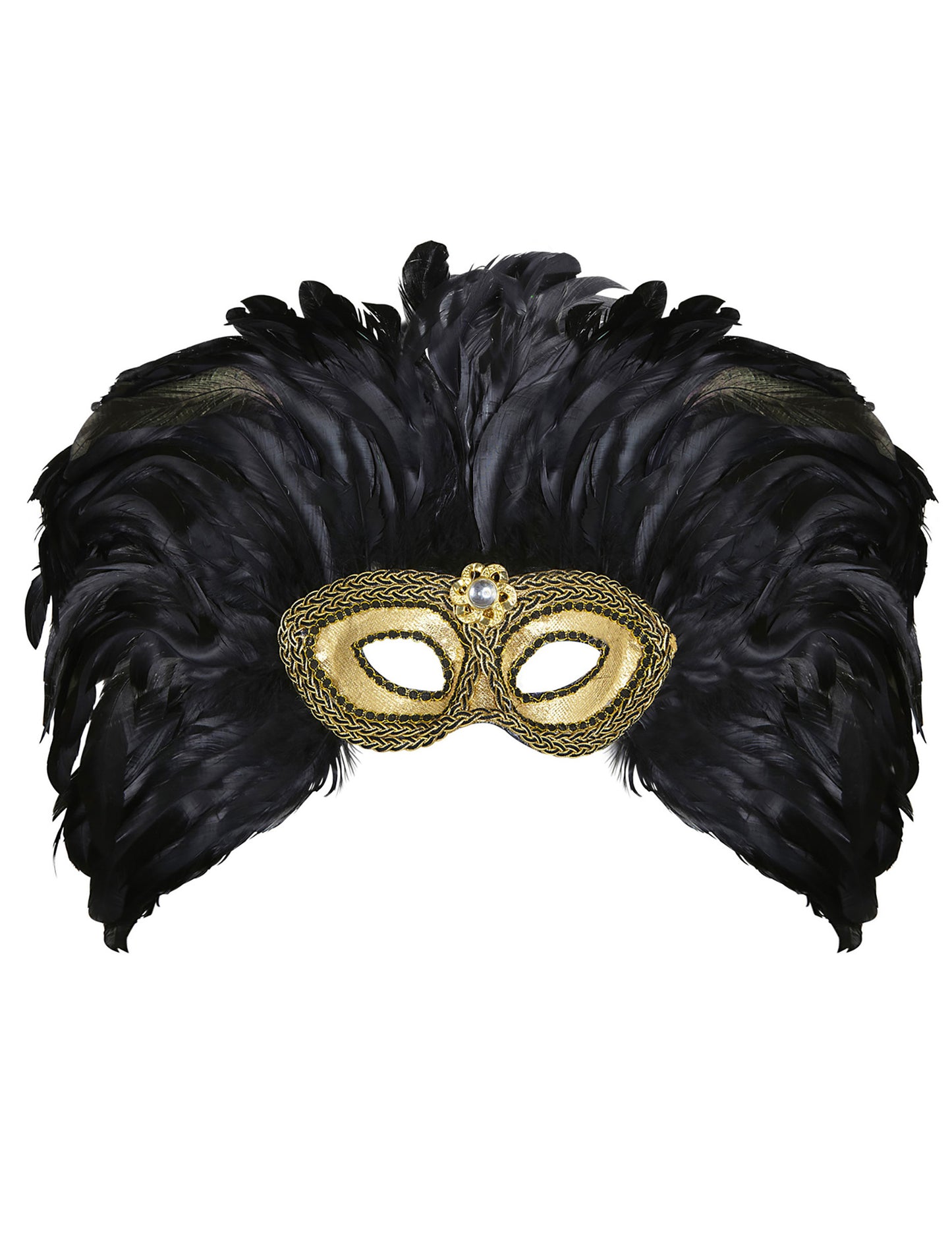 Dospelý zlatý vlk s čiernym perím