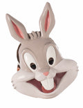 Kostýmy Looney Tunes