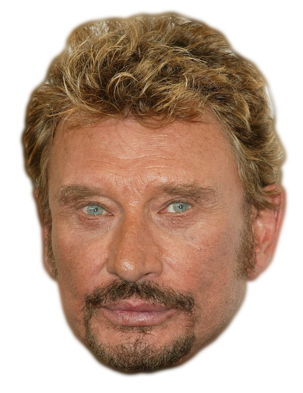 Realistická kartónová maska Johnny Halliday pre dospelého