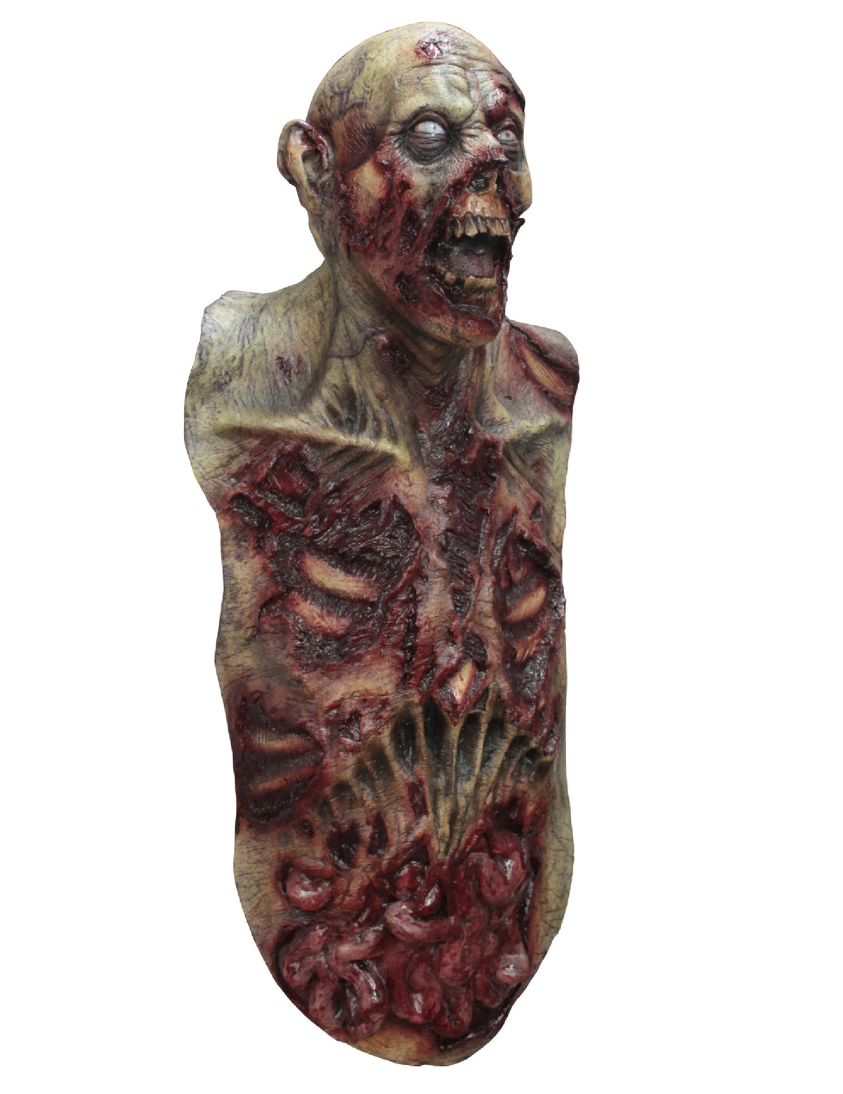 Masque intégral et buste zombie pour adulte ensanglanté avec tripes apparentes
