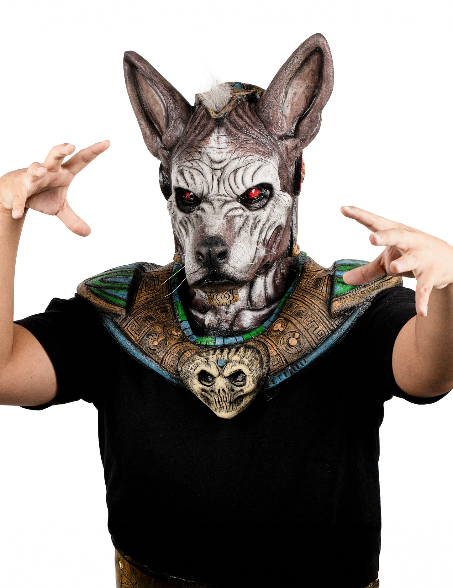Celotvárová maska príšery s hlavou dospelého psa