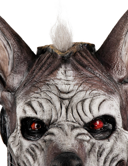Celotvárová maska príšery s hlavou dospelého psa