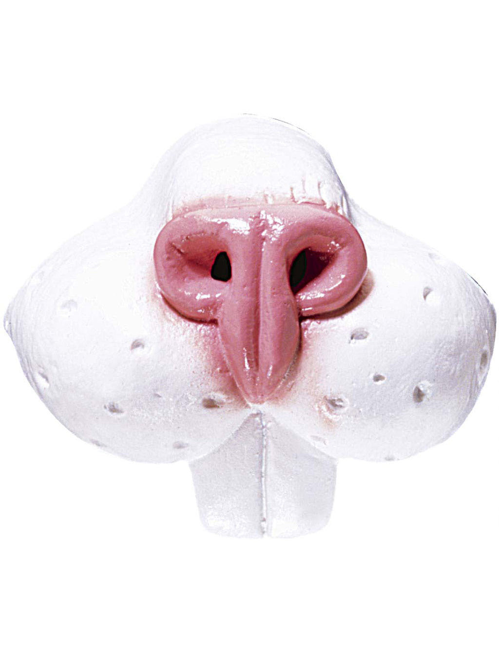 Nez de lapin pour adulte blanc et rose avec dents de devant