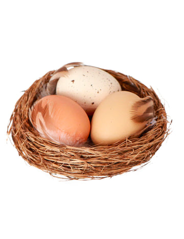 Prírodné hniezdo s 3 vajciami 12x4 cm