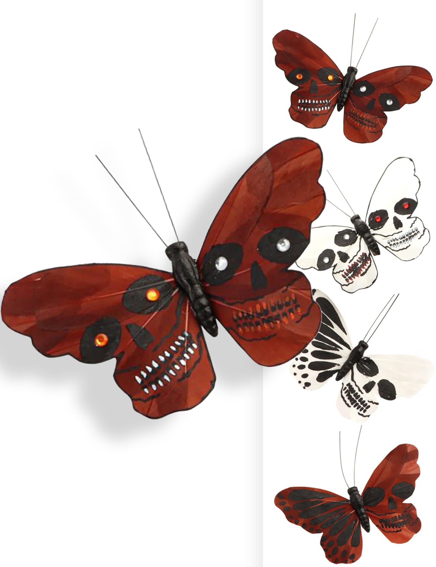Motýľ smrtiacej hlavy 13 x 10 cm