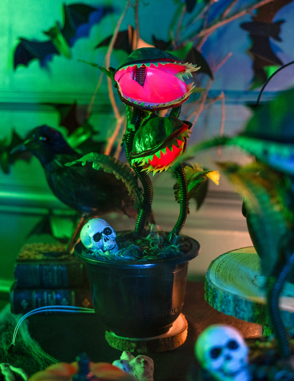 Gros plan sur le pot avec crâne de la plante carnivore animée décoration d'Halloween