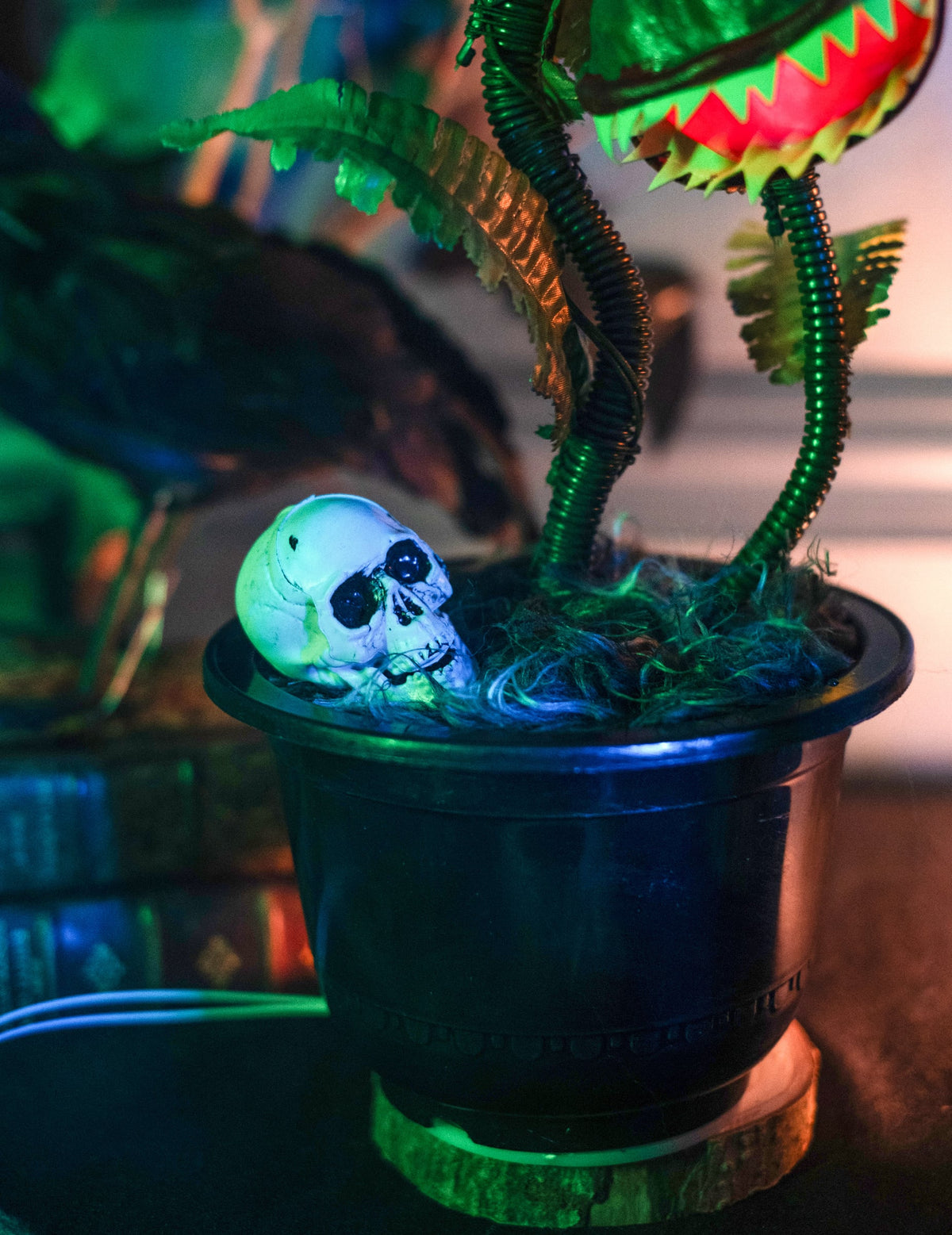 Détail du crâne dans le pot de la plante carnivore animée décoration d'Halloween