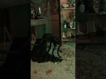 Sauty Animovaný pavúk 50 cm