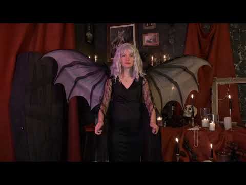 Ailes géantes chauve-souris adulte