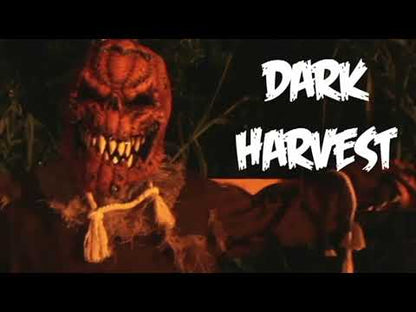 Desivé tekvica kĺbová maska ​​Anima dospelá