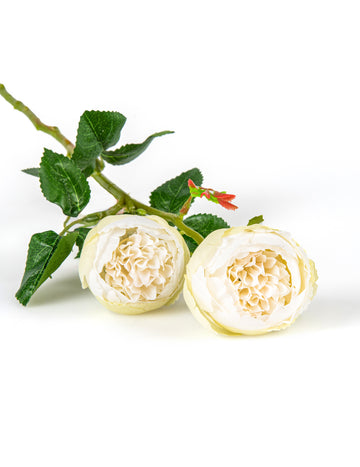 Umelé biele ruže na stonkách 46 cm v sade 2 kusov