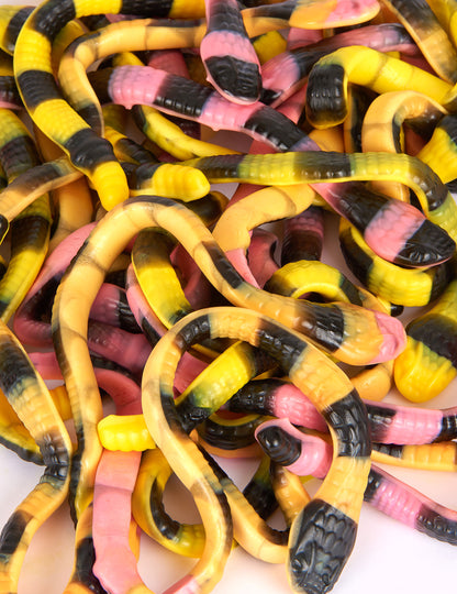 Hadie hady hady pit python 2 kg