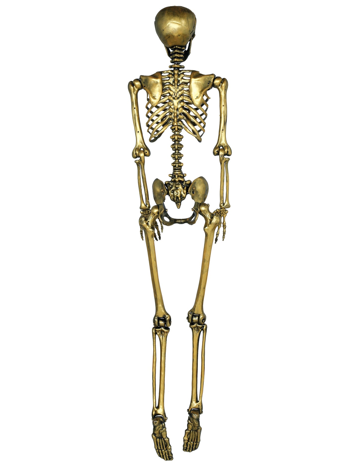 Vue de dos du squelette à suspendre pour Halloween doré