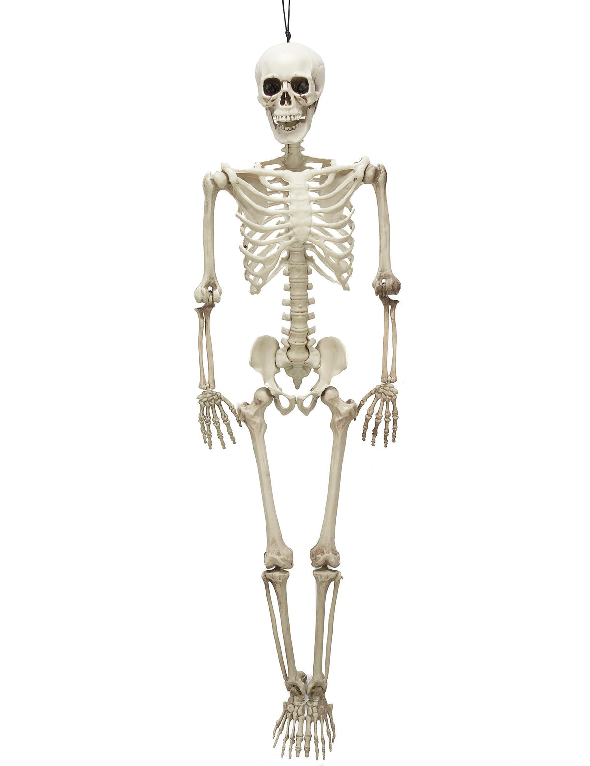 Squelette articulé Halloween pour décoration couleur os
