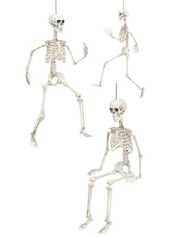Différentes positions du squelette articulé Halloween