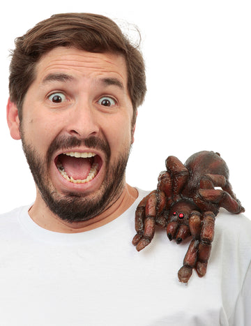 Dospelý rameno tarantula