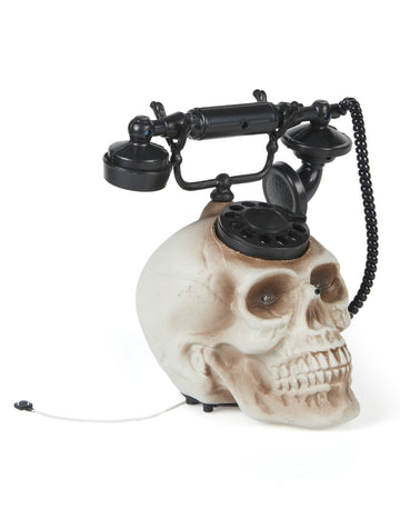 Jedna hlava lebky 22 x 25 cm