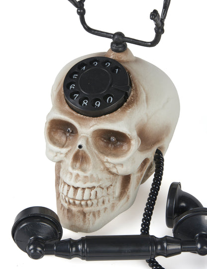 Jedna hlava lebky 22 x 25 cm