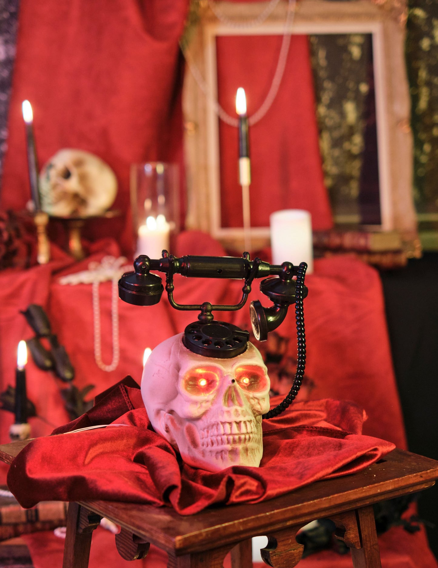 Jedna hlava lebky 22 x 25 cm