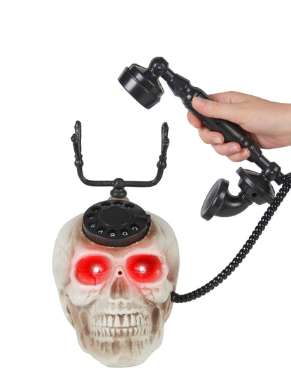 Jedna hlava lebky 22 x 25 cm