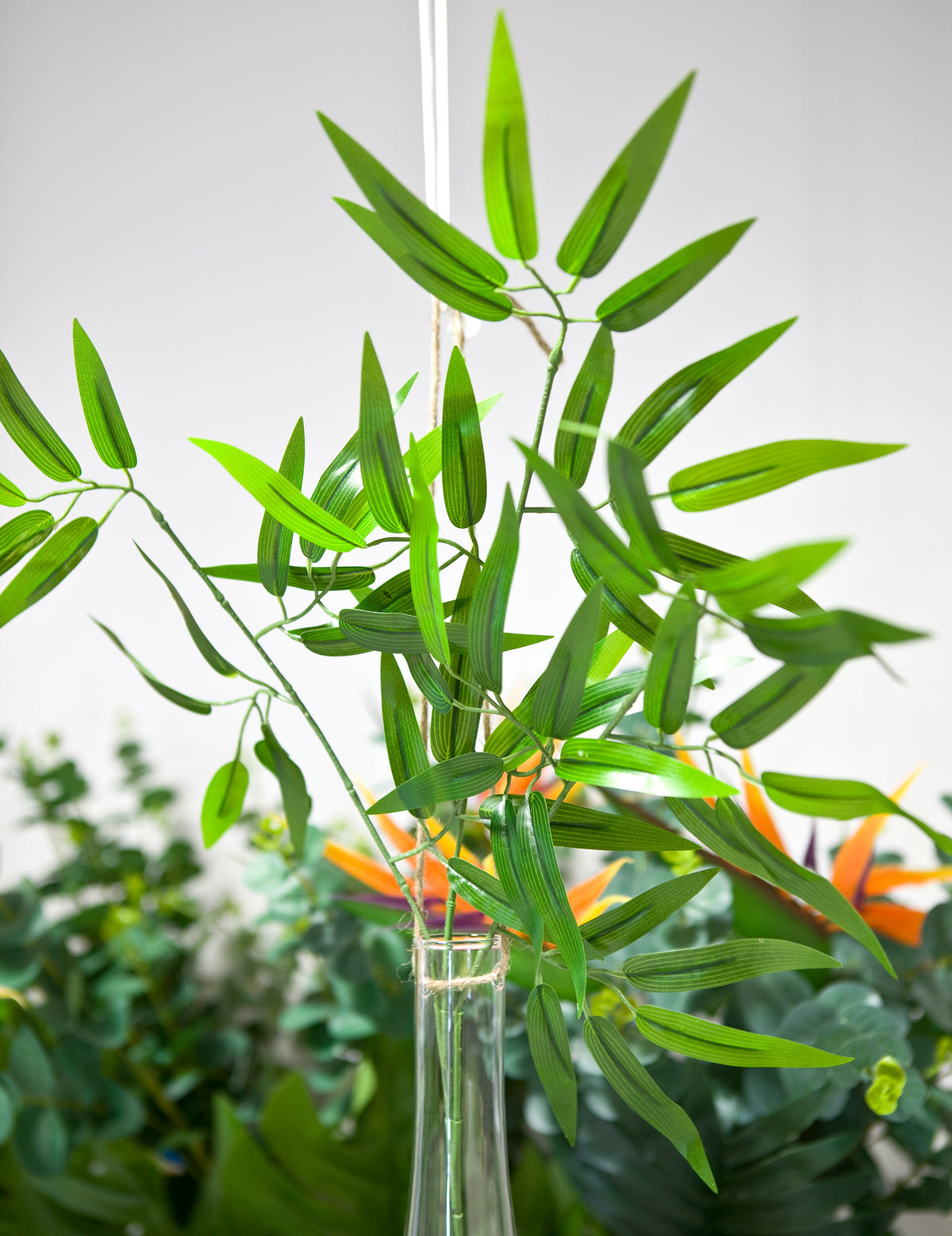 Mise en situation dans un vase de la tige de bambou tropicale pour décoration