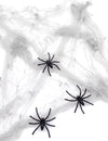 Biela pavučina s pavúkmi 20 g Halloween