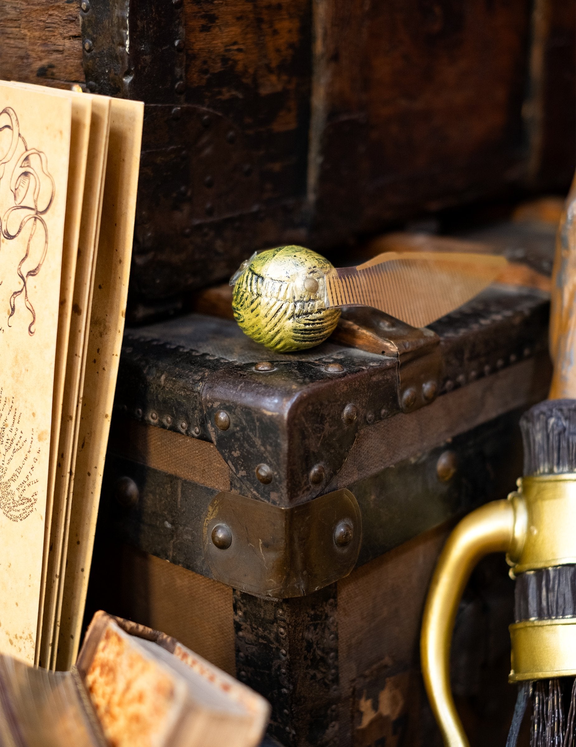 Scéna na starožitnej truhlici so Zlatonkou Harry Potter